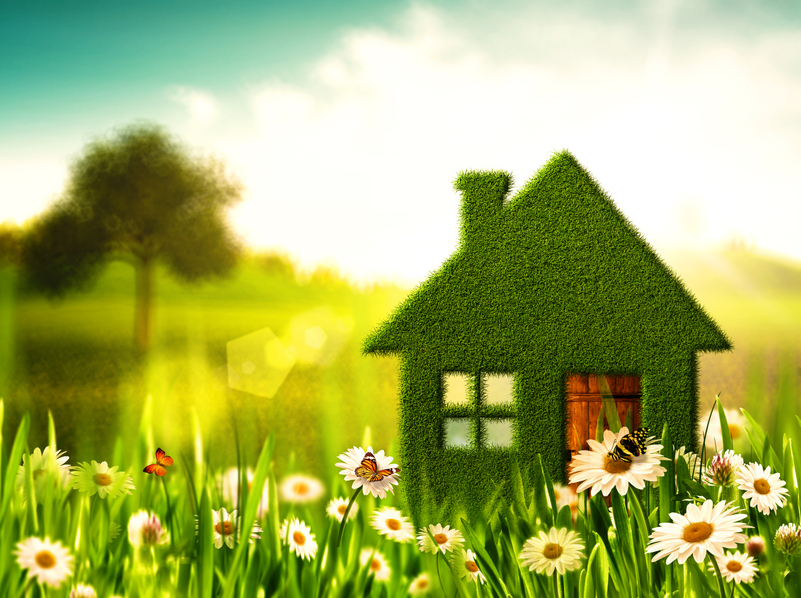 9 Eco Friendly Cleaning Tips To Green Your House Cleaning Sparkle And